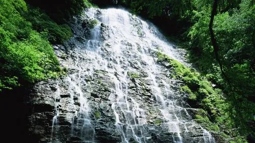 可靠性高标准